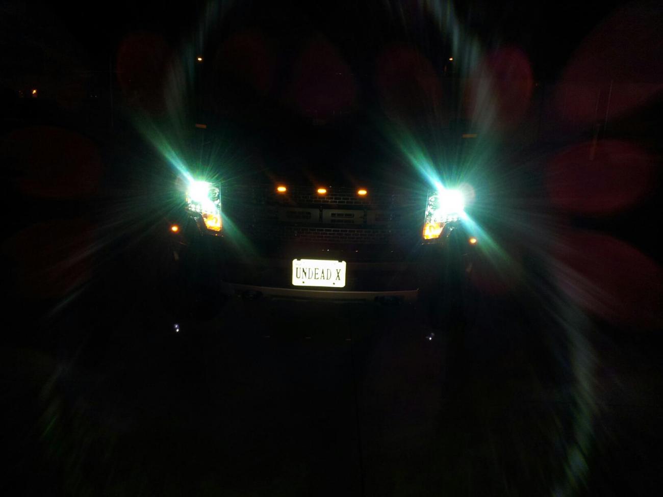 478338 10150895781528206 1768550312 o