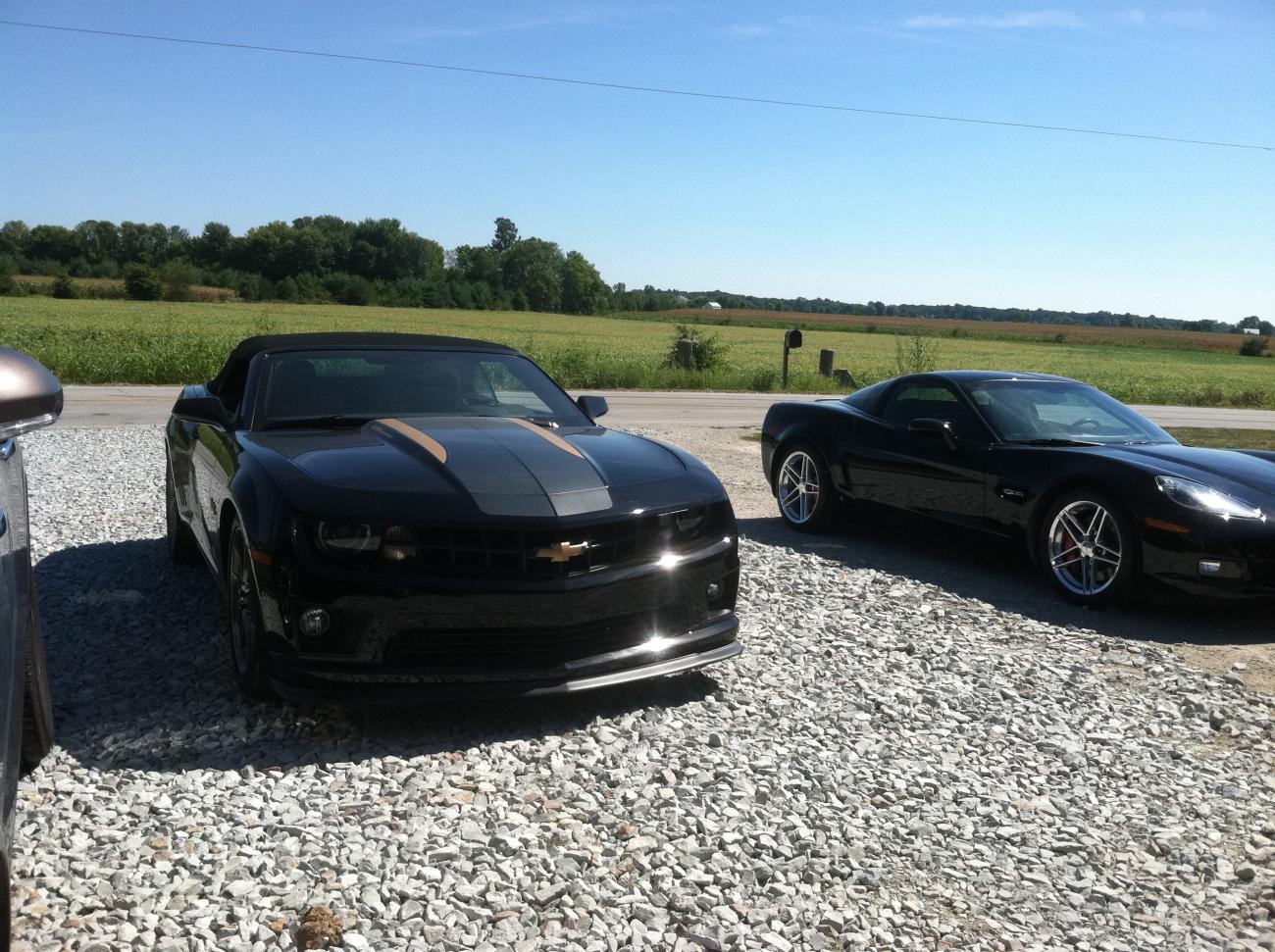 panther009 outside 028