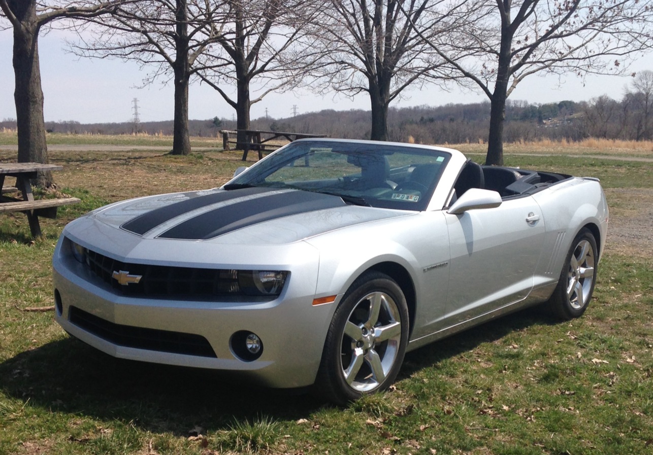 A nice sunny day at the park-front