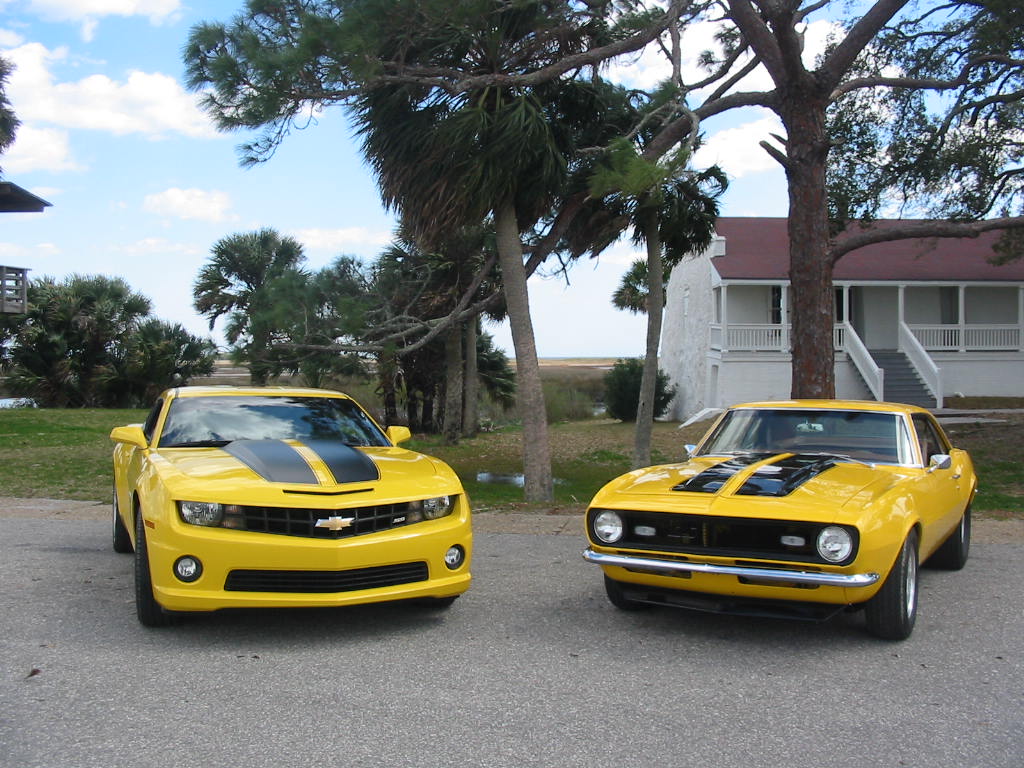 2010 & 68' 204
