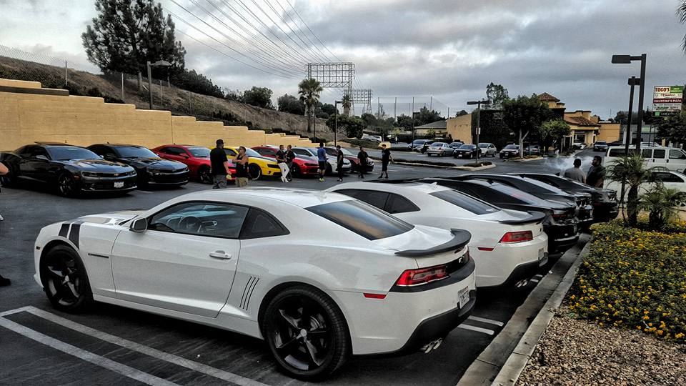 10422110 1484787375170624 6445873041028135881 n