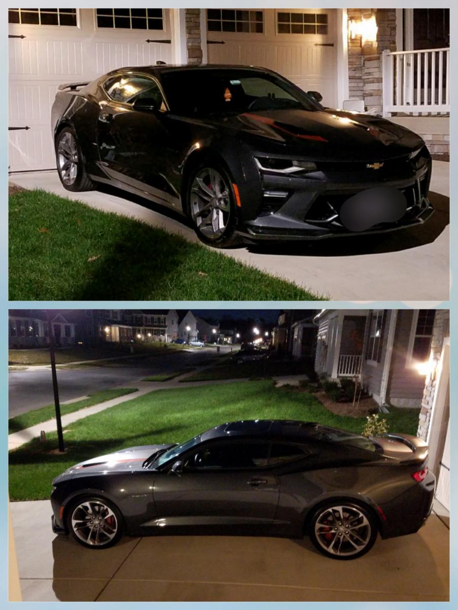 Sitting on the pad ... waiting ... watching