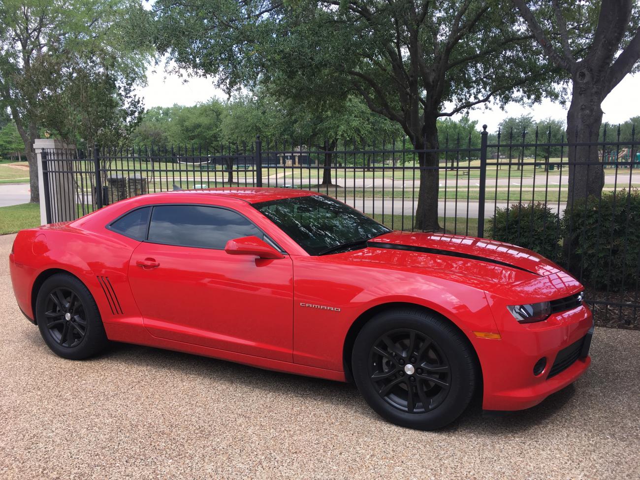 Added hood spears and got the gills fixed!