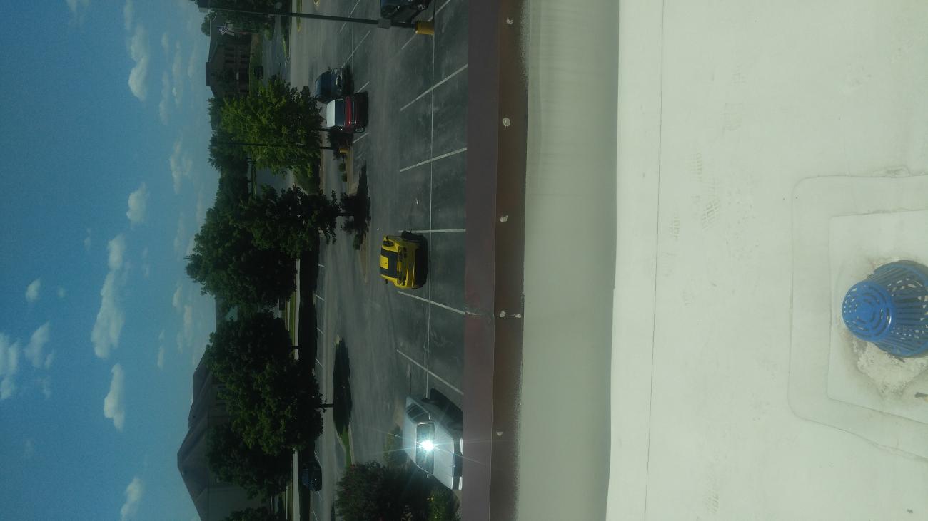 first at fest lot 2017