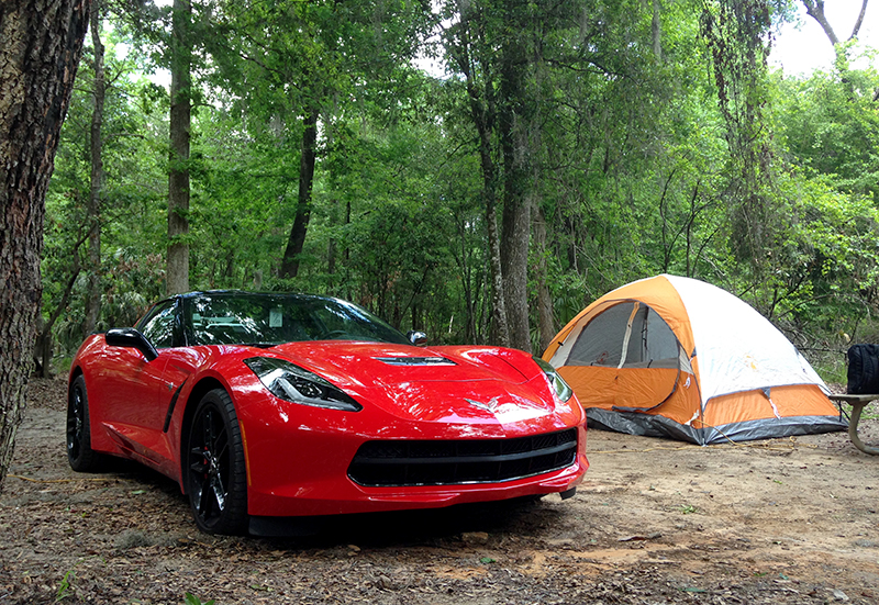 Everything fit! Not pictured: cooler, luggage, food, etc