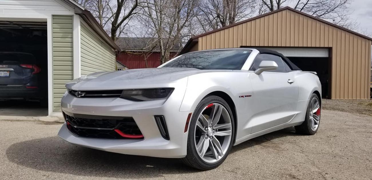 53913876 10218456555228144 1326745784628019200 o