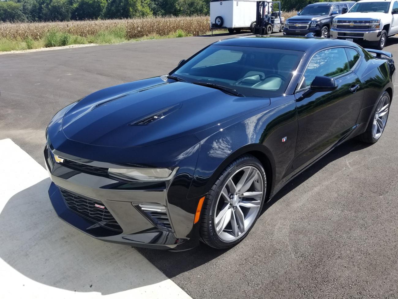 41705211 10156151906487800 6308437390155317248 o