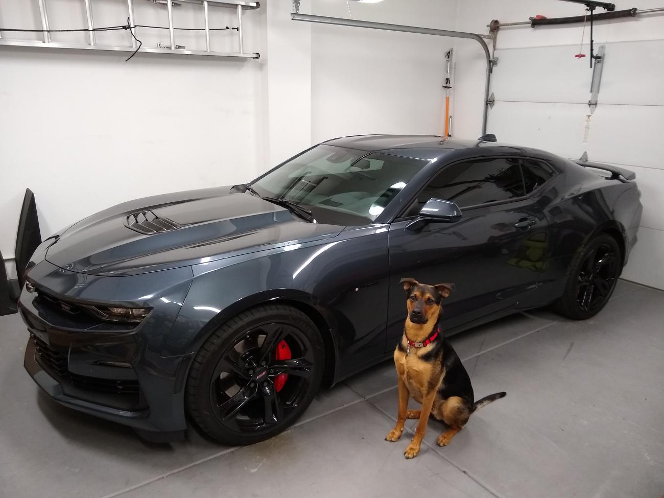 IMG 20200308 202920701