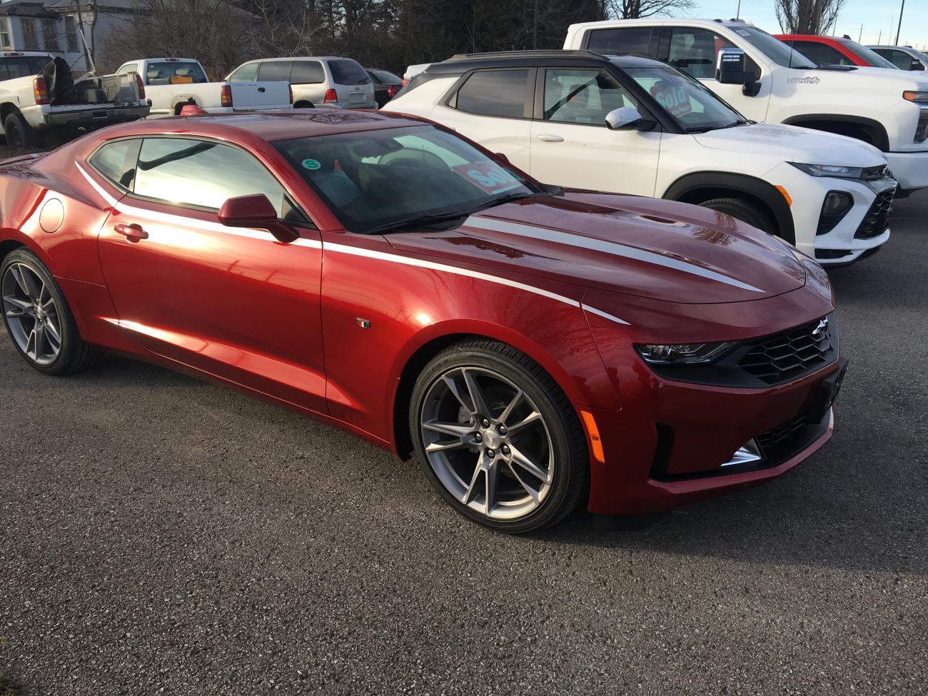 A1F24D22 FCBB 419C BF9B 7034EE97974C