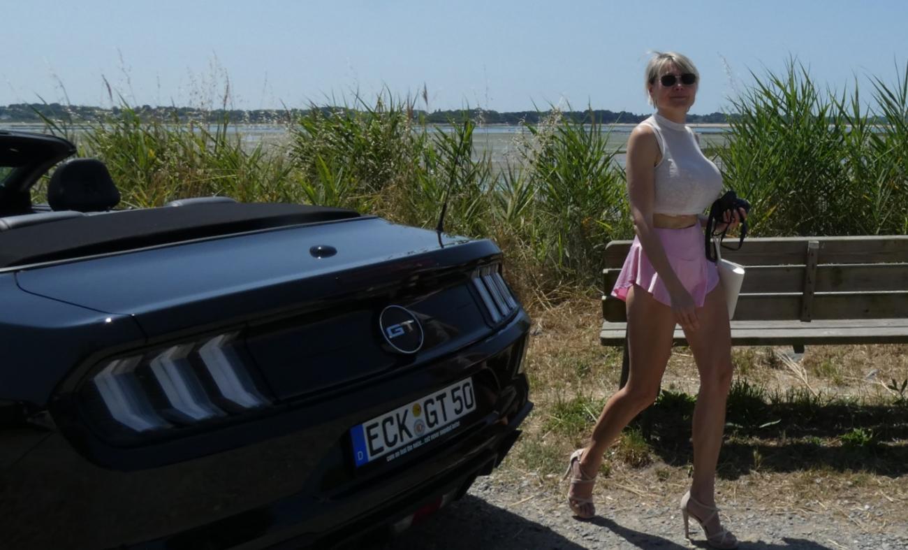 alois b�cker mustang gt alois buecker premium IV 10