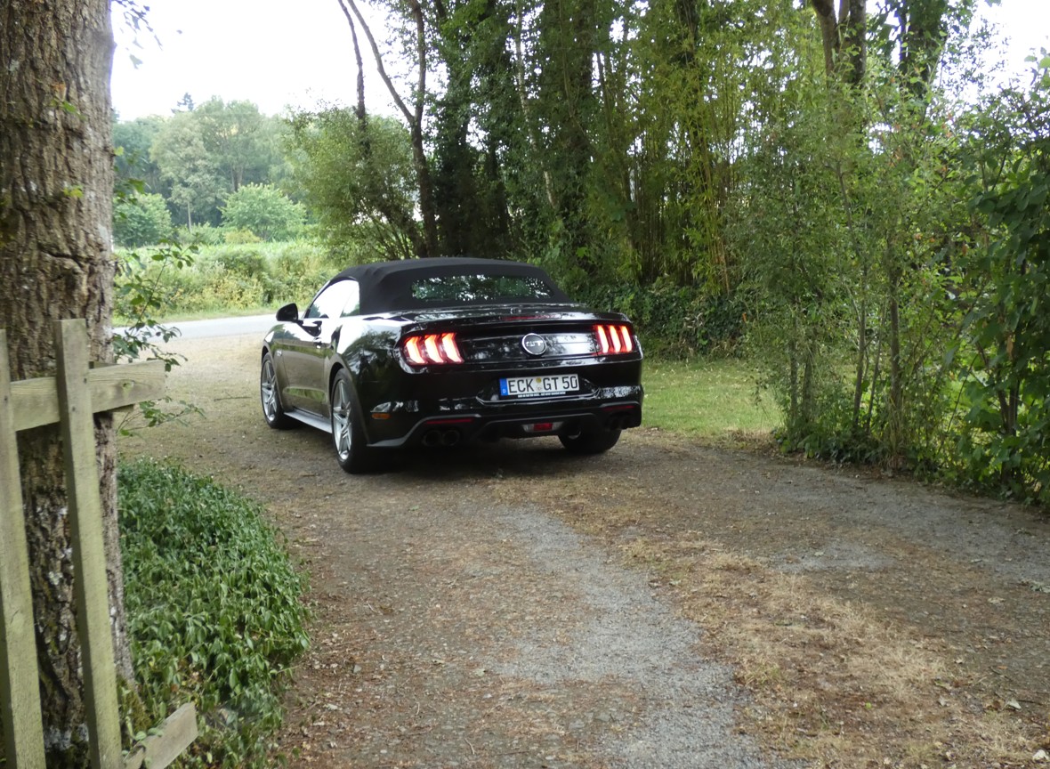 alois b�cker mustang gt alois buecker premium IV 15