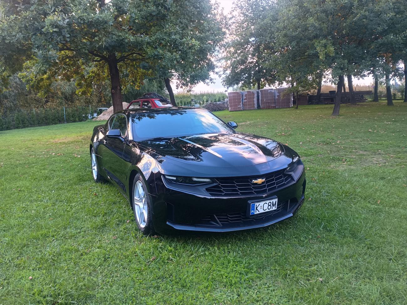 IMG 20241001 171019784 HDR