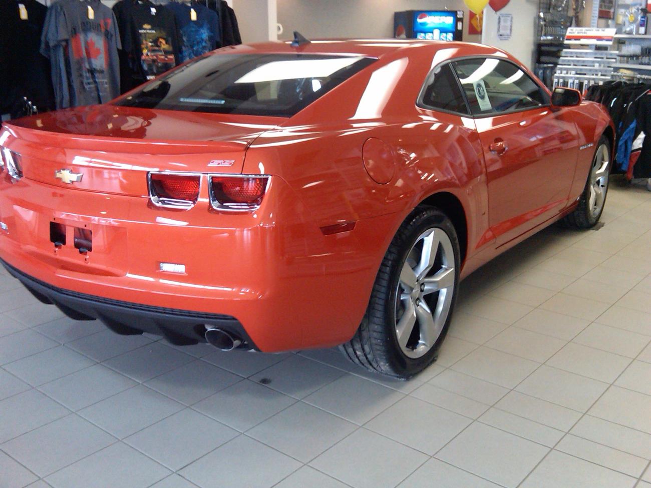 IMG00104 20090425 1207