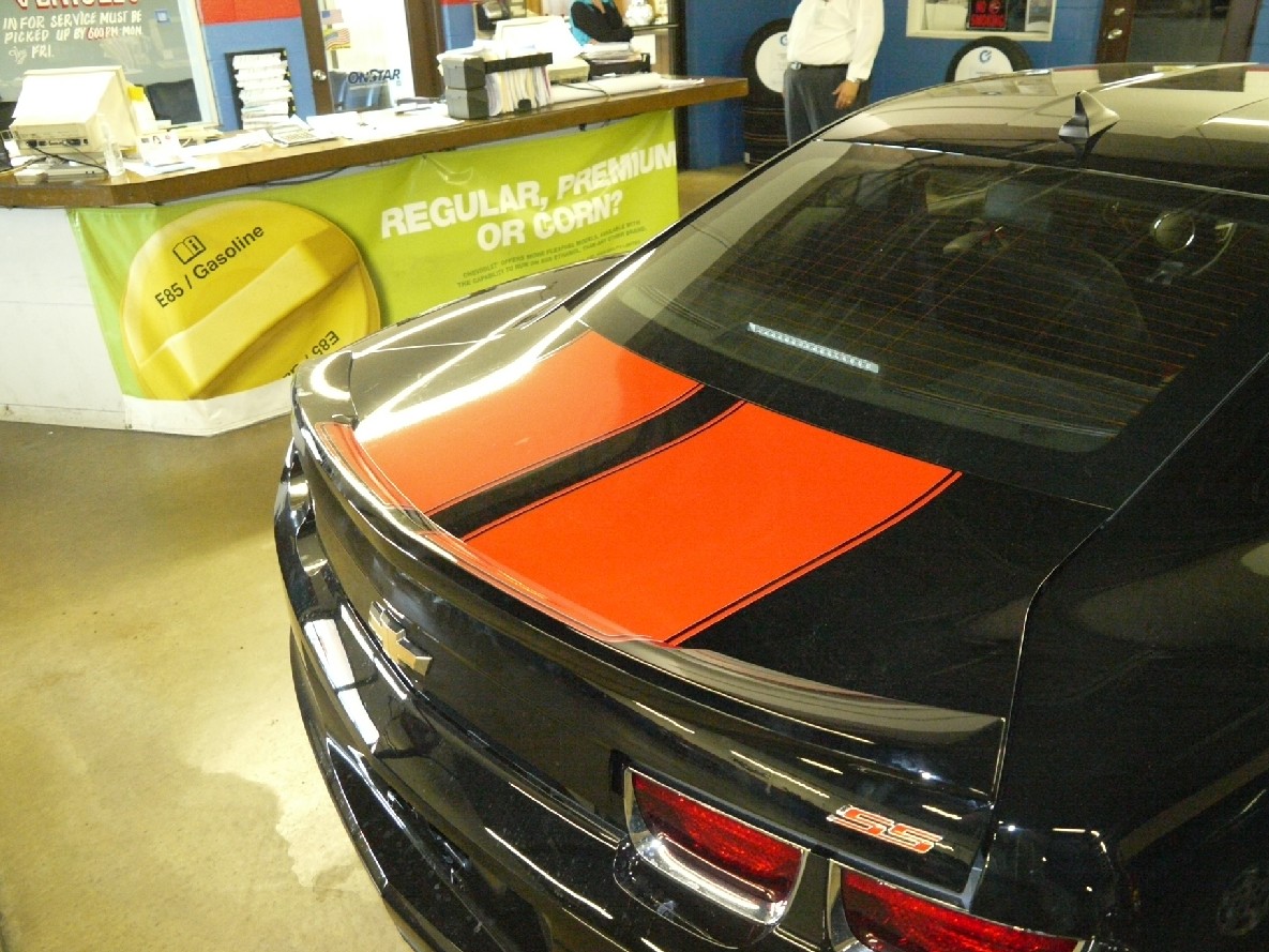 P1010857s Closeup of Stripes on Trunk Lid.
