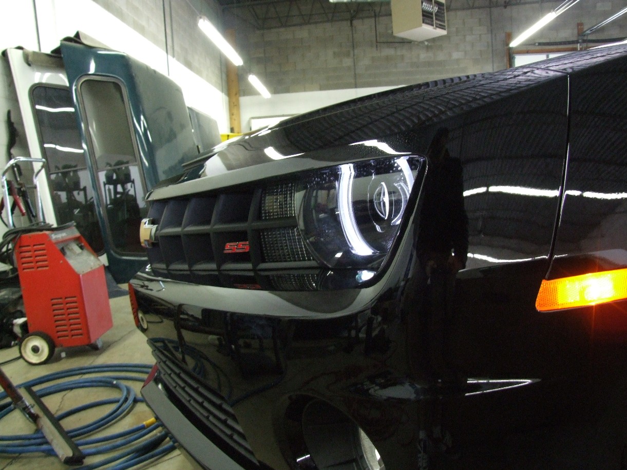 DSCF3618s - Here Mustang! Here Mustang! I'm Hungry!