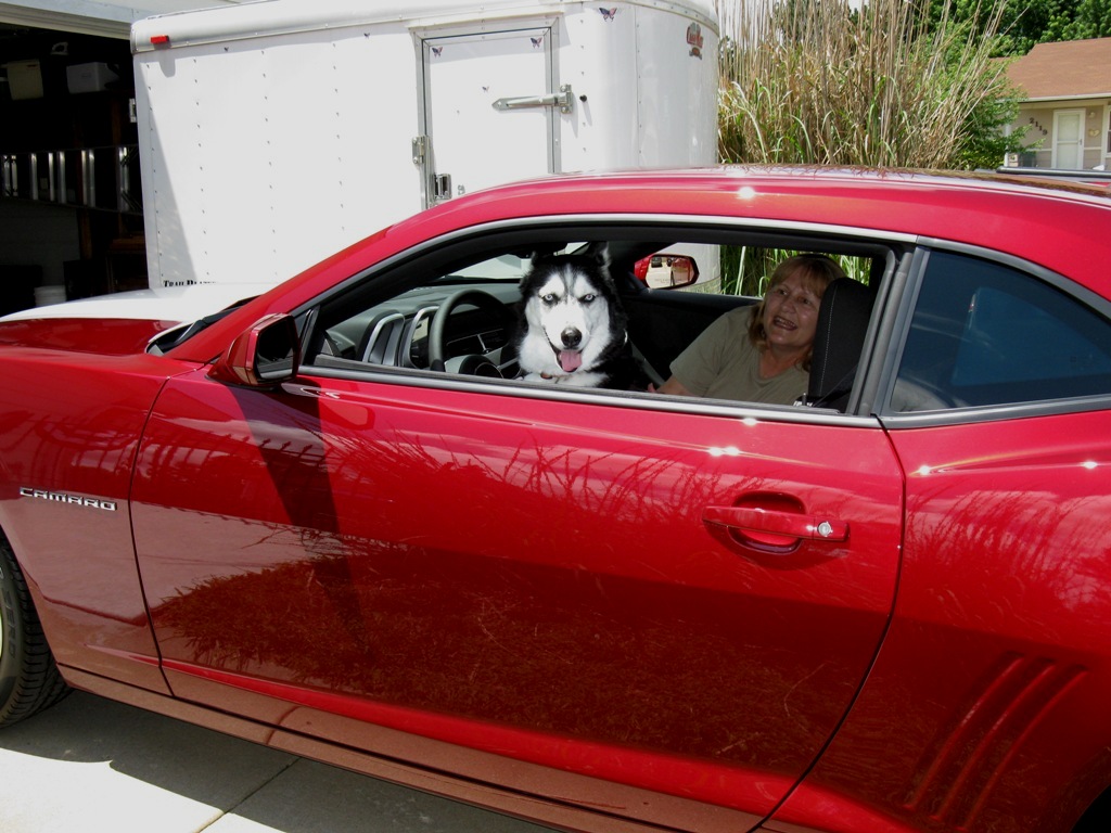 Letting Mom drive is going to be a challenge