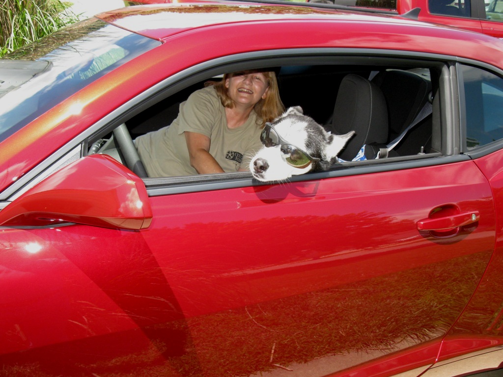 Aww, do I have to get out now?