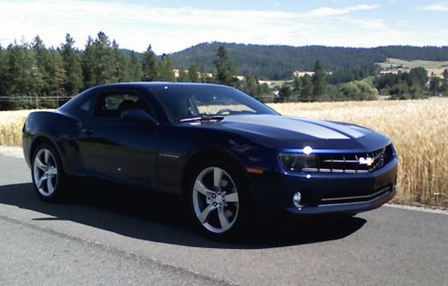 bone stock, july 2010