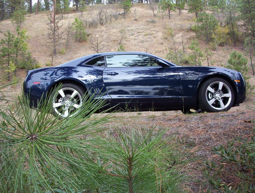 Trigger from a worms eye view