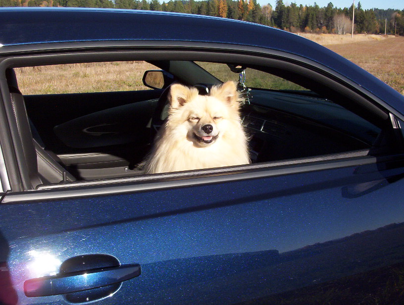 I got a "Turbo" in my Camaro