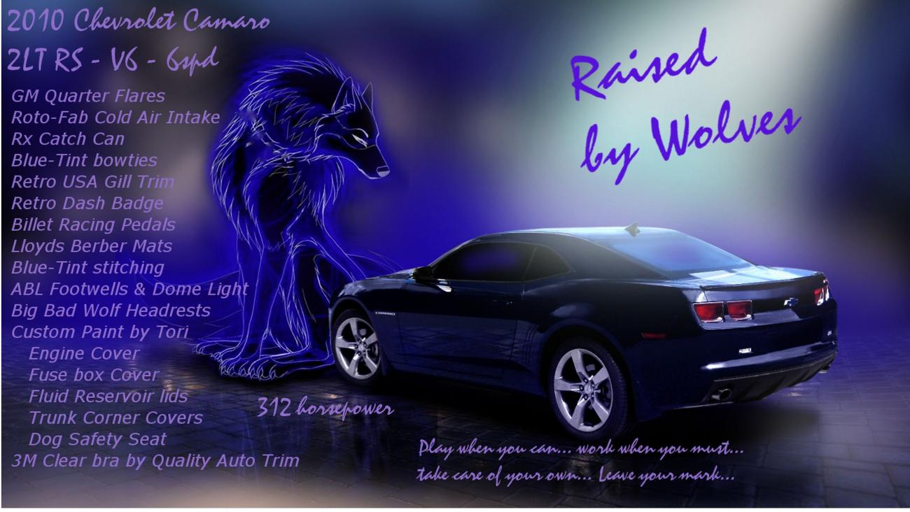 tyvm to HAZMAN for the artwork; my show placard