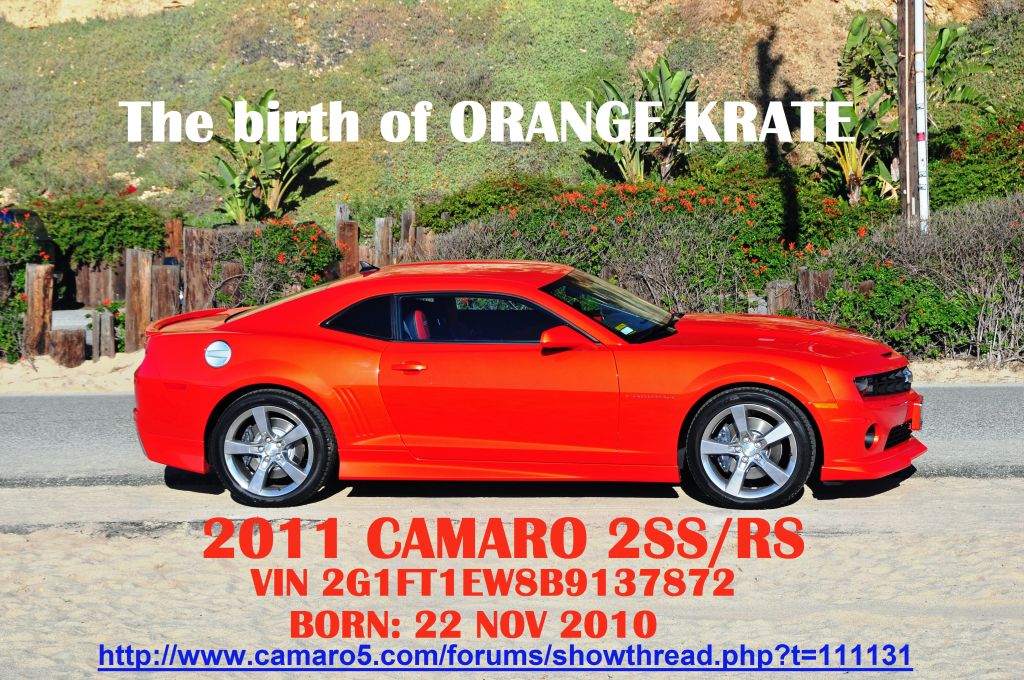 The Birth of Orange Credit.
Simply Orangasmic.