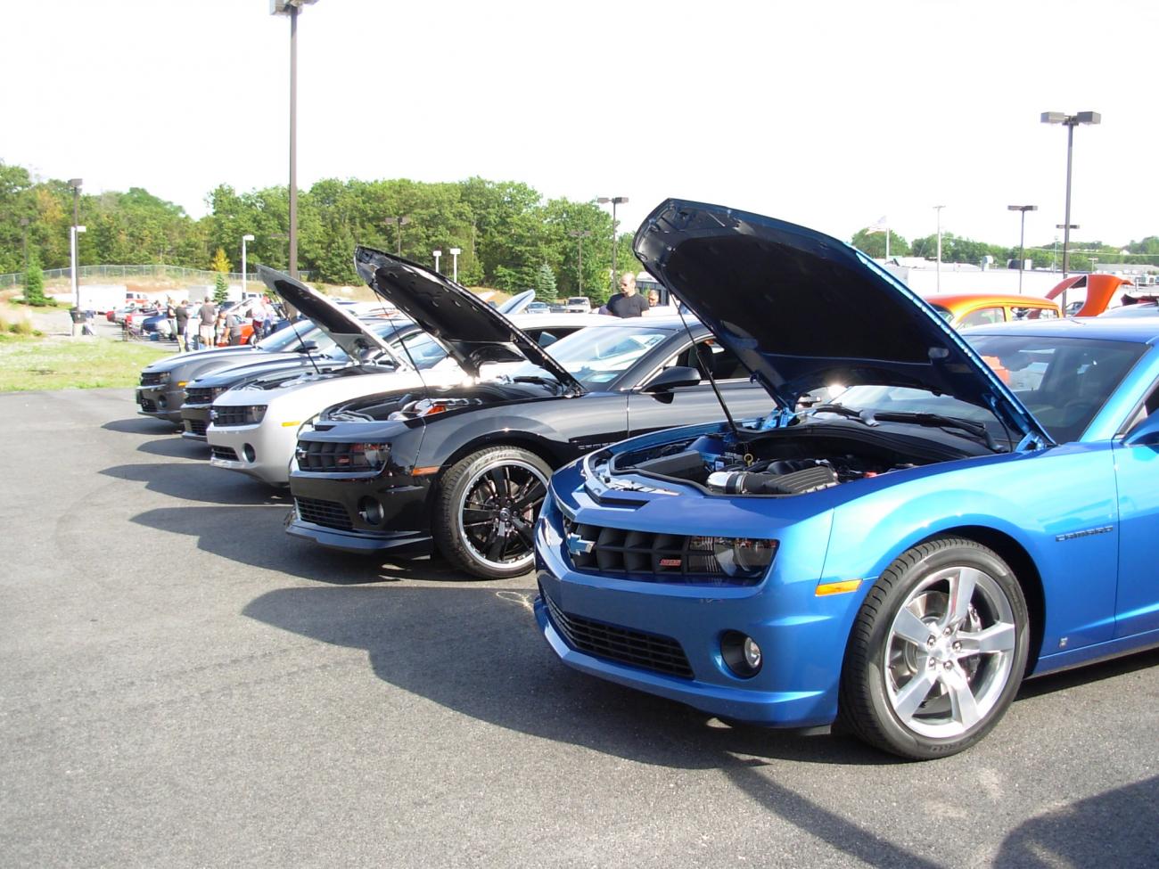 Hurd Field of Dreams, August 2010.