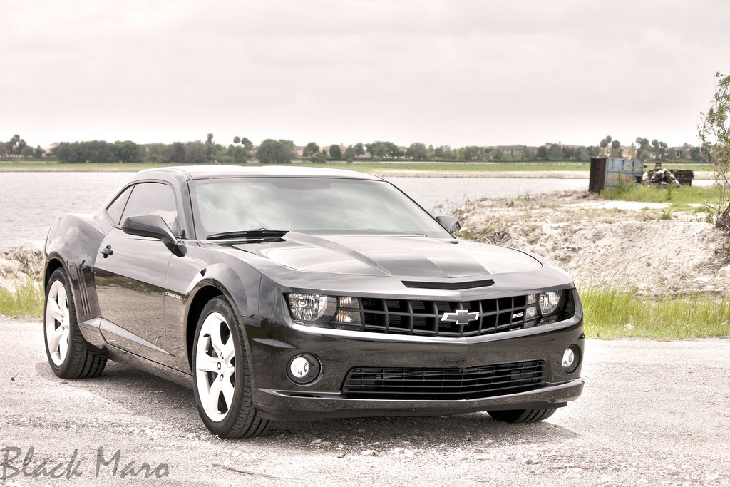 black maro