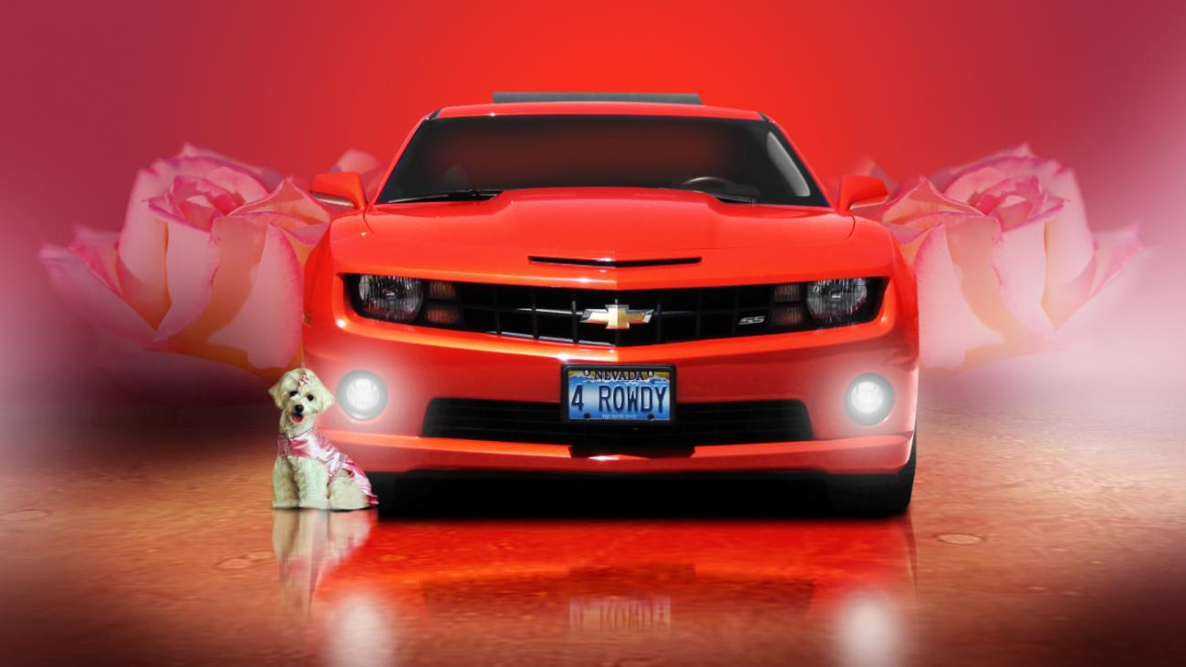 4Rowdy compliments of Hazman