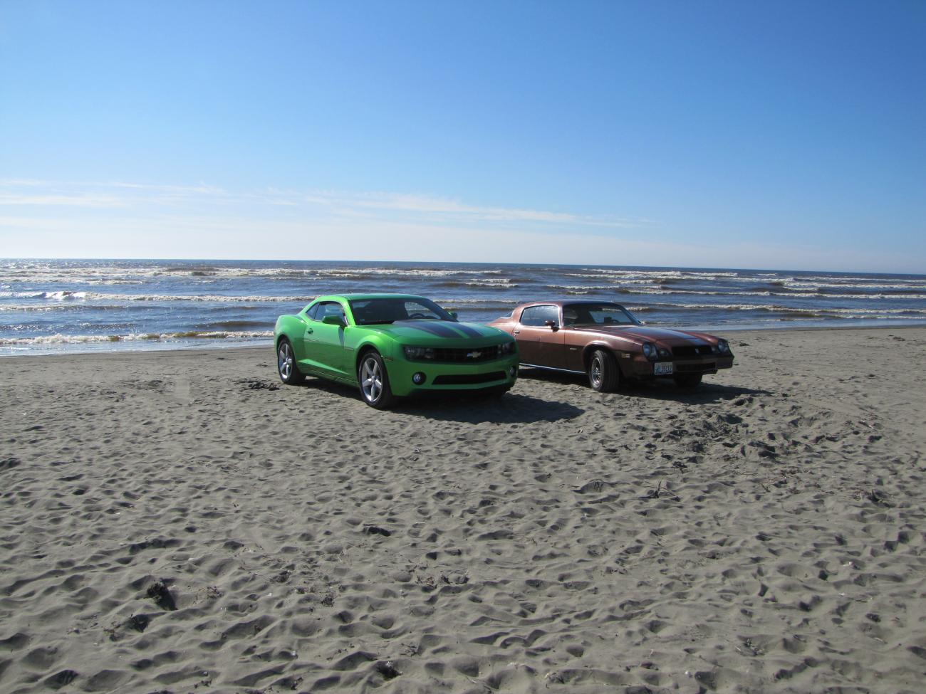 The two that really braved the sand.