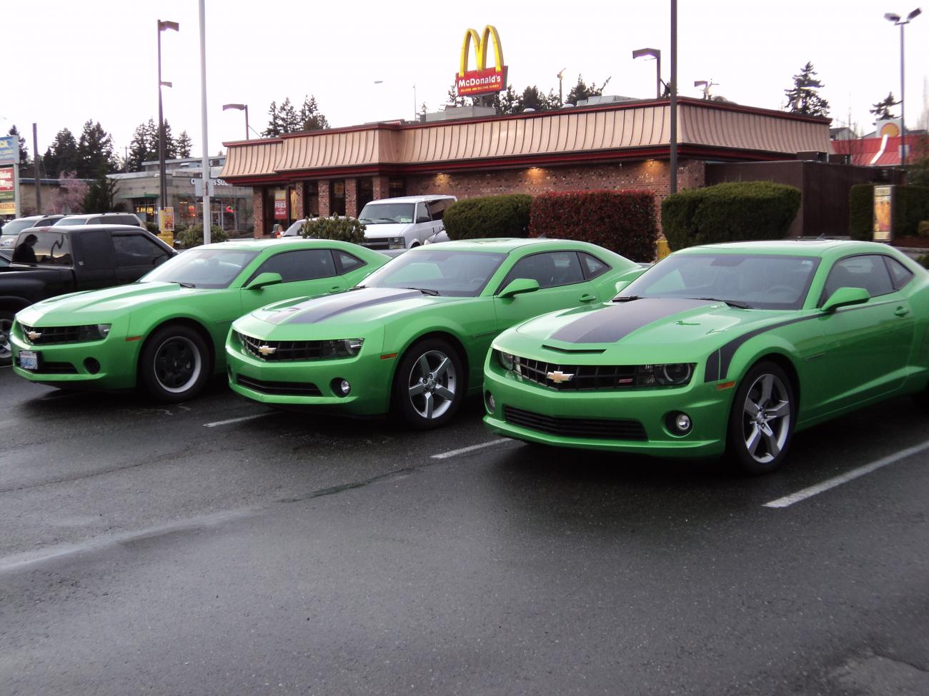 All the new members brought SGMs!