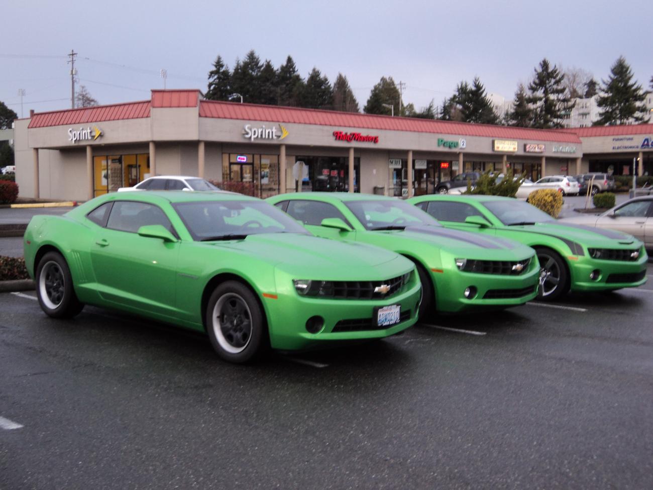 10ft. Stork (Foreground) With Envy (Center)
Not sure of the handle on the far one.