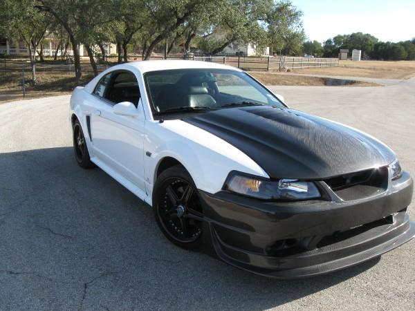 mustang just put the cobra r kit on