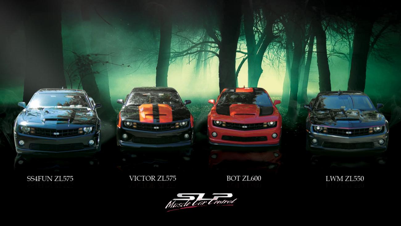 SLP ZL Group - 2012