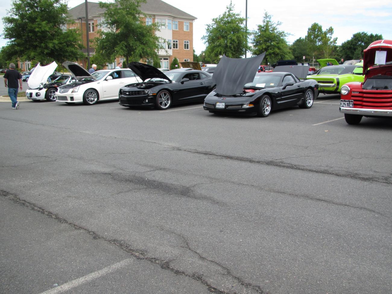 "Miss Thing" and her garage buddy 9/2011